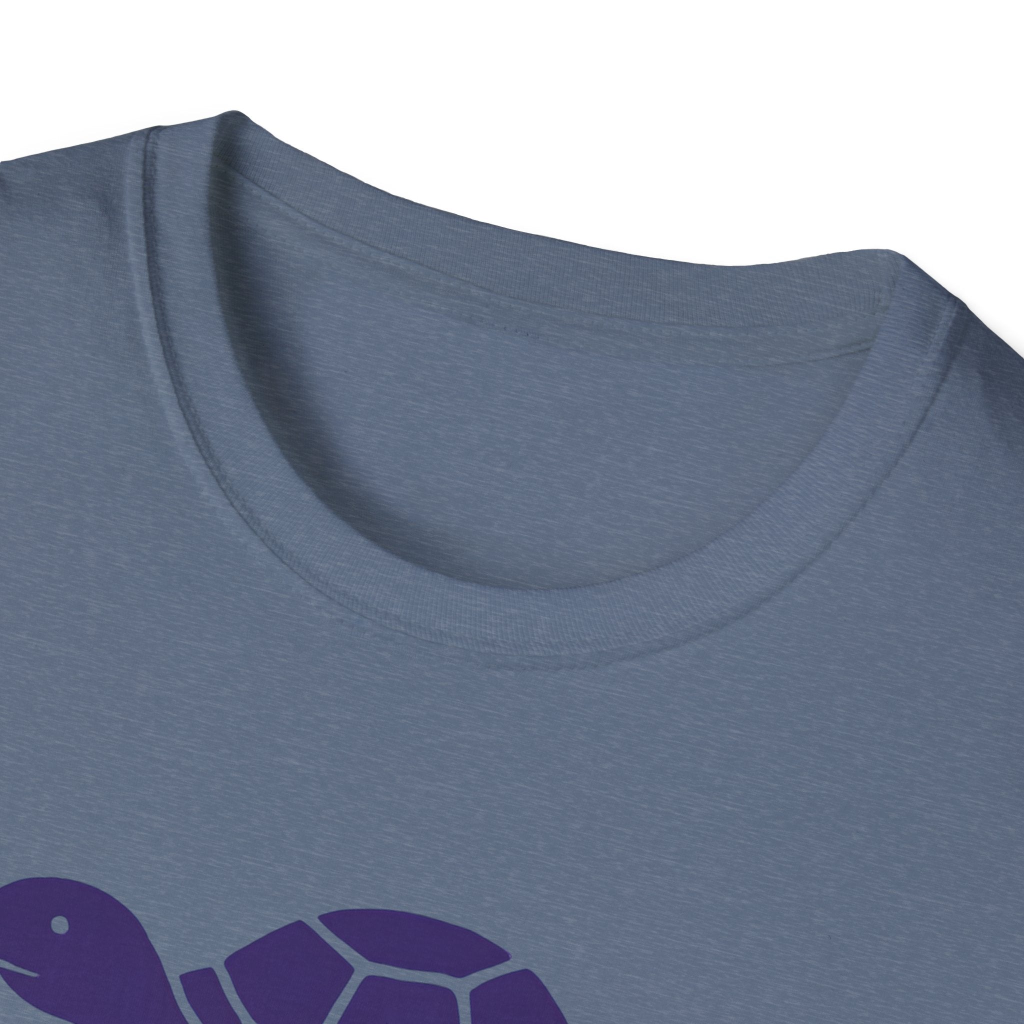 Turtle on Skateboard T-Shirt
